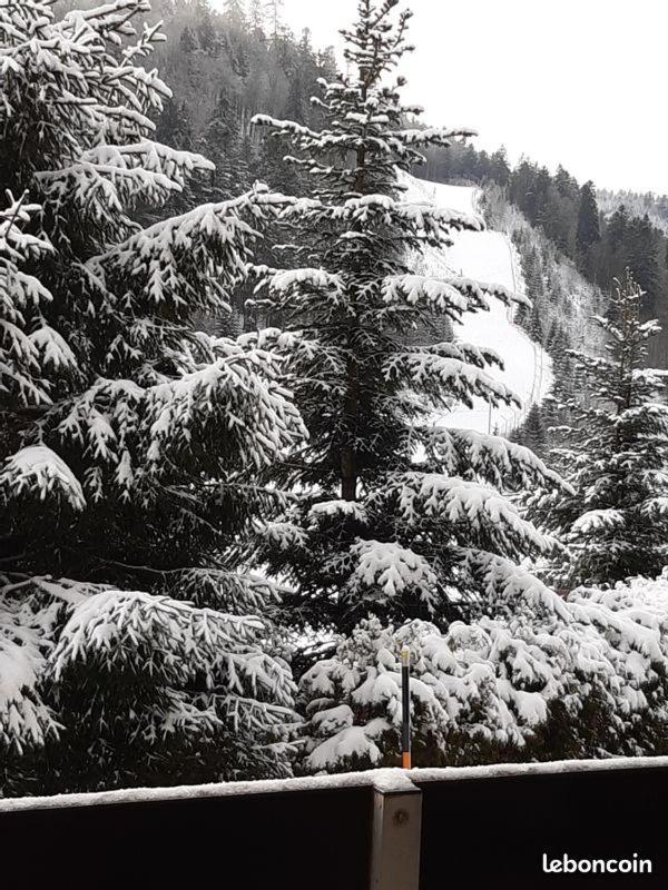 Appartement A La Montagne ,Vue Sur Les Pistes La Bresse Exteriör bild